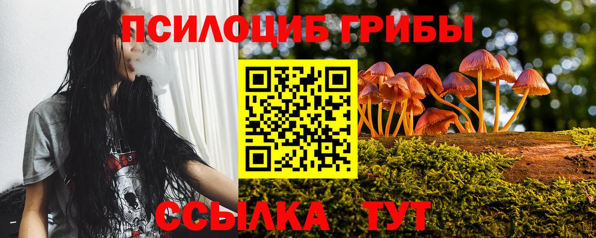 Ногинск  Галлюциногенные грибы Psilocybe  Вход с VPN 