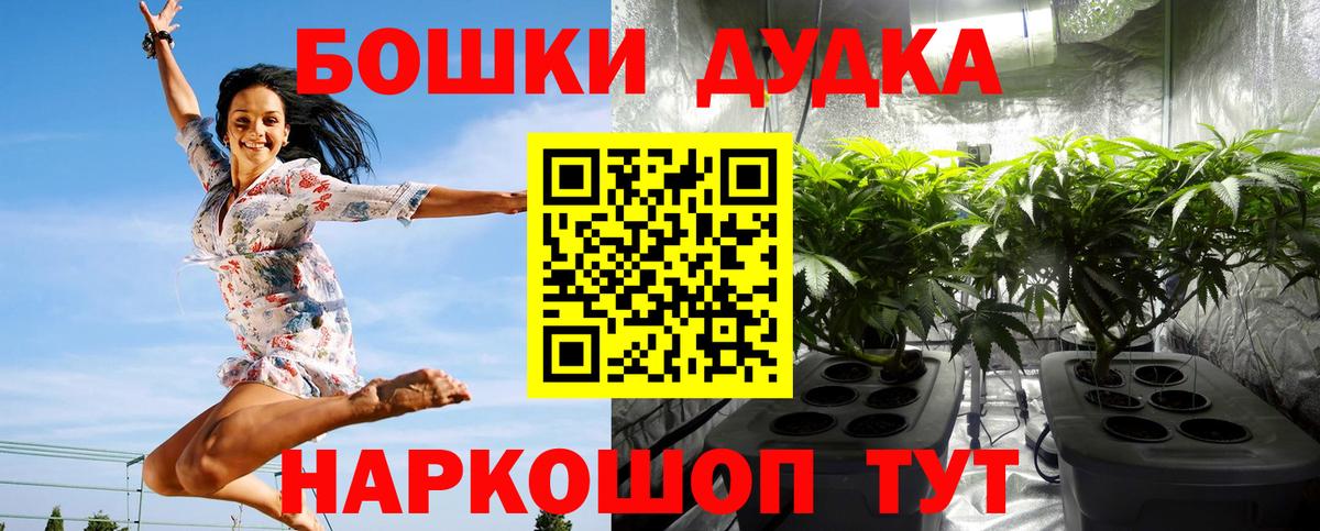 Каннабис ГИДРОПОН  Бошки марихуана THC 21%  Ногинск  Вход с VPN 